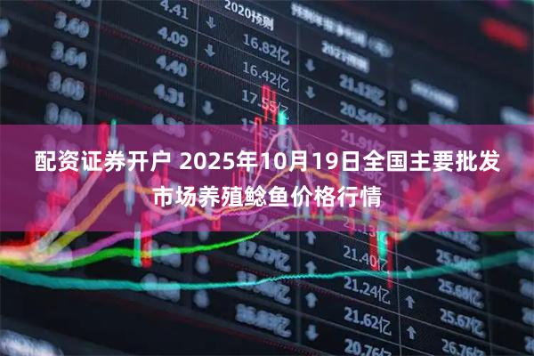 配资证券开户 2025年10月19日全国主要批发市场养殖鲶鱼价格行情