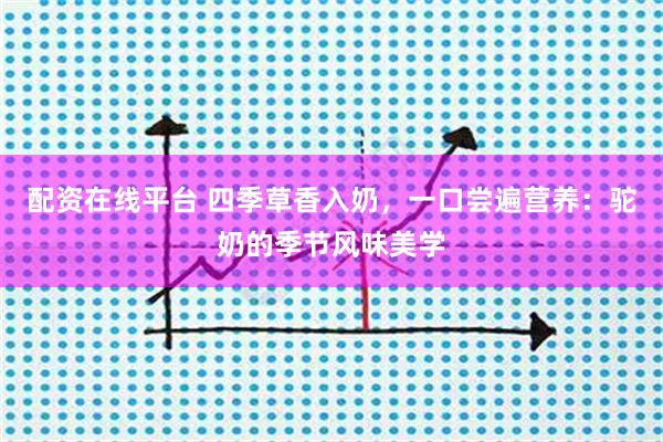 配资在线平台 四季草香入奶，一口尝遍营养：驼奶的季节风味美学