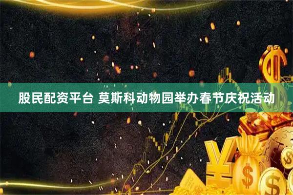 股民配资平台 莫斯科动物园举办春节庆祝活动
