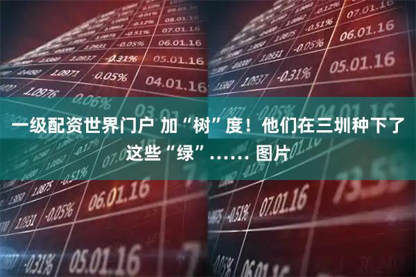 一级配资世界门户 加“树”度！他们在三圳种下了这些“绿”…… 图片